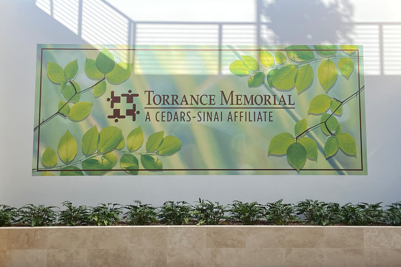 Patient Portal Torrance Memorial